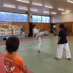 埼玉・浦和でテコンドーオリンピックを目指そう!